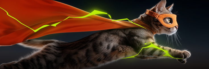 Камера в аренду